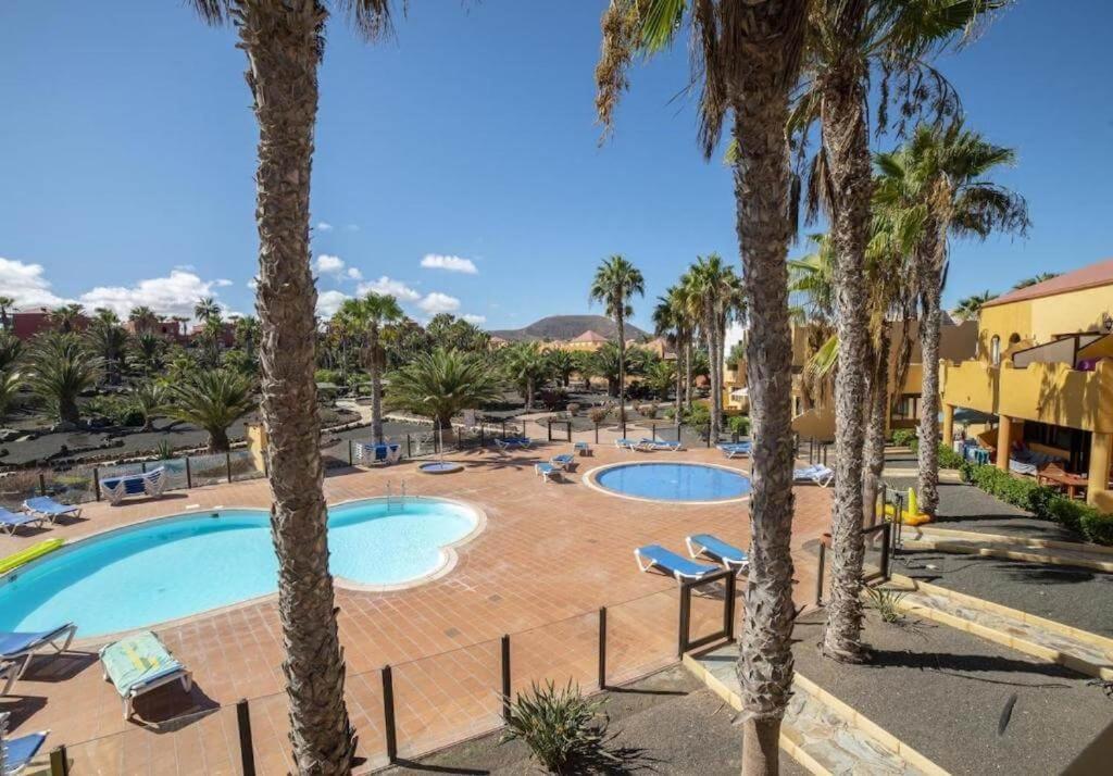 Lightbooking Oasis Royal Corralejo F311 מראה חיצוני תמונה